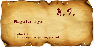 Magula Igor névjegykártya